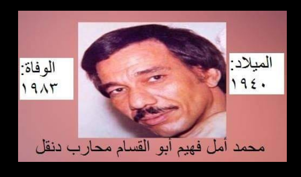 الشاعر أمل دنقل