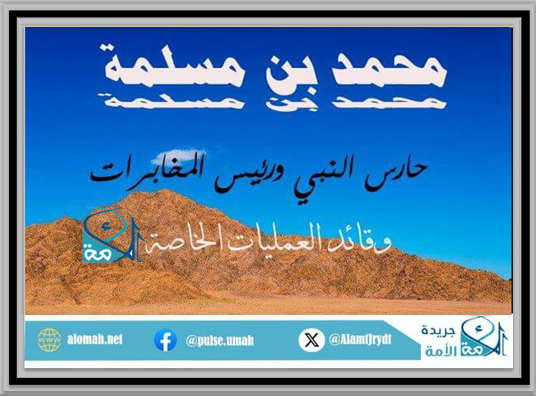 محمد بن مسلمة