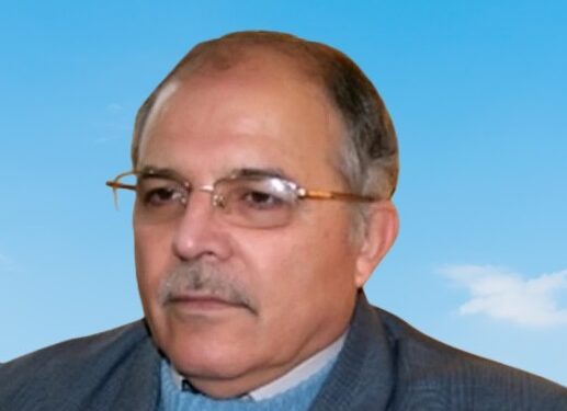 د. وليد عبد الحي.. بروفيسور في العلوم السياسية والدراسات المستقبلية
