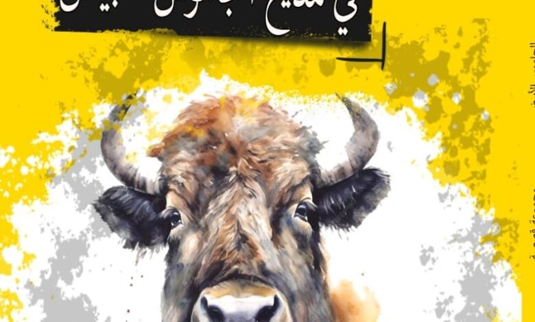 المجموعة الثانية للعبادي فى مختبر السرديات بمكتبة الإسكندرية