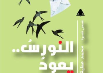 الهيئة المصرية العامة للكتاب تصدر "النورس يعود وحيدا" للكاتب والناقد المصري "محمد عطية محمود"