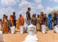 الشعب السوداني يأكل الأعشاب والنباتات للبقاء على قيد الحياة