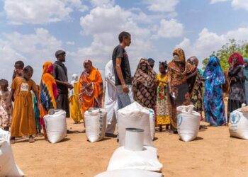الشعب السوداني يأكل الأعشاب والنباتات للبقاء على قيد الحياة