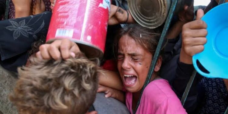 رغم زيادة عدد القتلى… فلسطينيون في غزة يخاطرون بحياتهم للحصول على الغذاء  