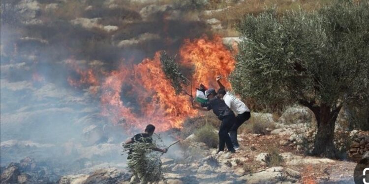 تصعيد كبير: 92 شهيدًا بغزة وحرق أراضٍ بالضفة والمقاومة ترد