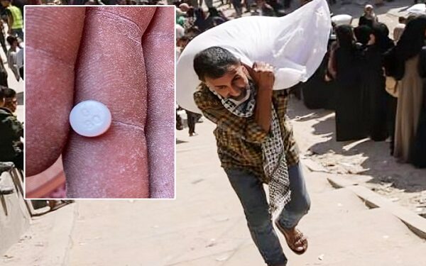 غزة تتهم الاحتلال بتوزيع طحين ملوّث بالمخدرات ضمن «مساعدات» مشبوهة: مطالبات بإغلاق ما وصفته بـ«مصائد الموت»