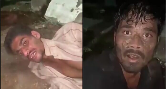 «حراس الأبقار» الهندوسية يقتلون مسلميْن لنقلهم الماشية في ولاية ماديا براديش الهندية