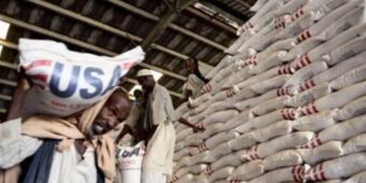 الأمم المتحدة تسقط مساعدات جواً في جنوب السودان للمتضررين من النزاع