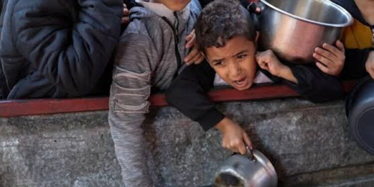 الأمم المتحدة: غزة تواجه مجاعة حقيقية ومقتل مئات الأطفال جوعًا