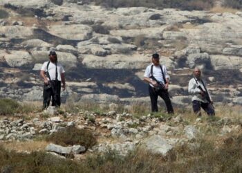 مستوطنون يدمرون محمية طبيعية في كيسان تحت حماية قوات الاحتلال