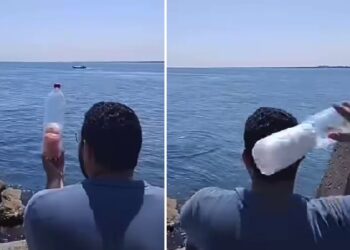 مشهد الشاب المصري يلقي زجاجات الطحين والسكر في البحر، إلى أهل غزة