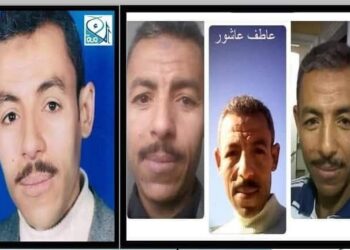 الشاعر عاطف عاشور
