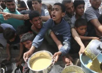 "جوع يطرق أبواب غزة: سيناريوهات الإنقاذ وتحديات الوصول"