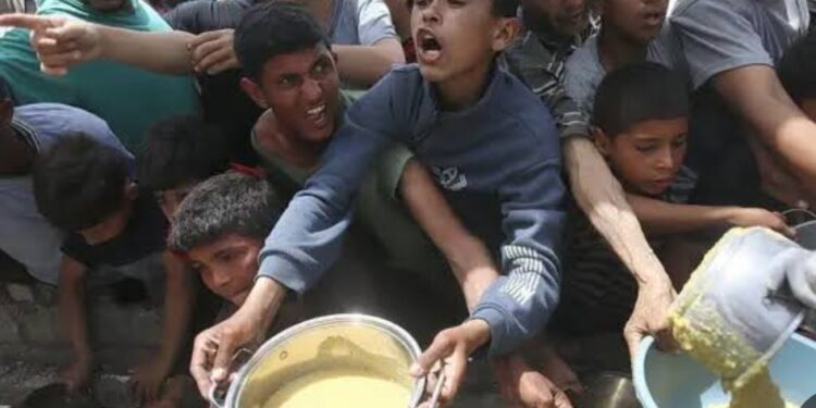 "جوع يطرق أبواب غزة: سيناريوهات الإنقاذ وتحديات الوصول"