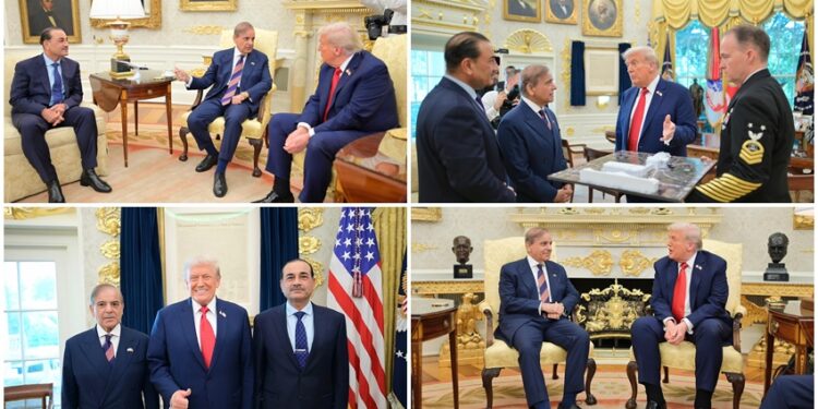 شهباز شريف يثني على ترامب ويدعو لتعميق الشراكة