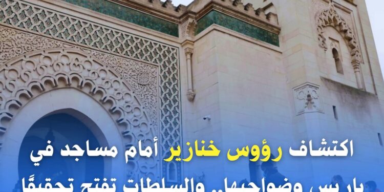 مرصد الأزهر يدين وضع رؤوس خنازير أمام مساجد في باريس ويؤكد: اعتداءات خطيرة تهدد السلم المجتمعي