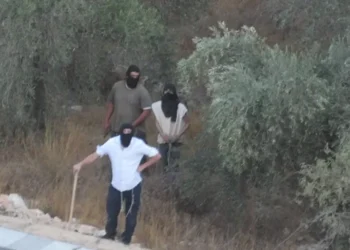 حرق المستعمرين لممتلكات الفلسطينيين يكشف تصاعد العنف المنظّم