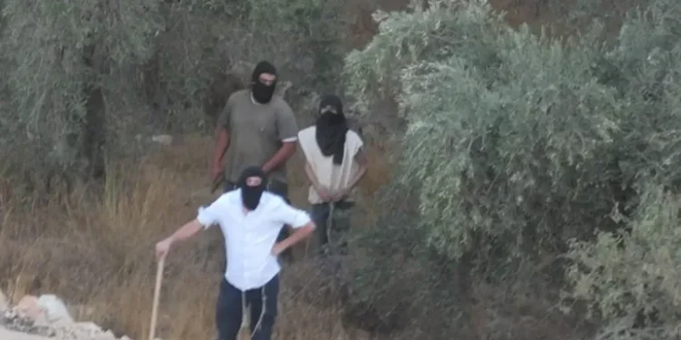 حرق المستعمرين لممتلكات الفلسطينيين يكشف تصاعد العنف المنظّم