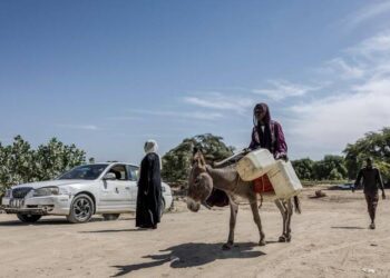 "دماء تسيل من الجثث" تطارد الهاربين من الفاشر السودانية