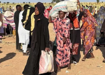اعتراف متأخر من «الدعم السريع» تحت ضغط العالم بعد مجازر الفاشر