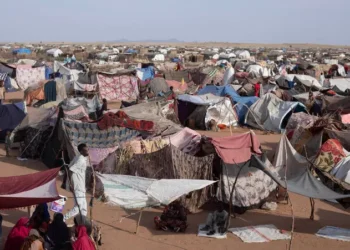 نزوح جماعي ومخاطر مجاعة الفاشر تهدد بكارثة انسانية