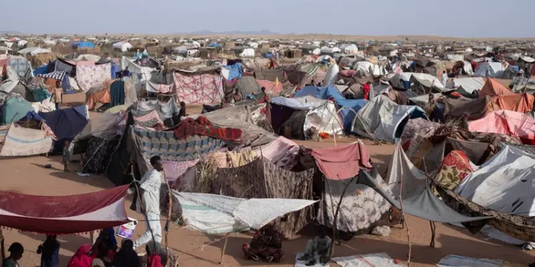 نزوح جماعي ومخاطر مجاعة الفاشر تهدد بكارثة انسانية