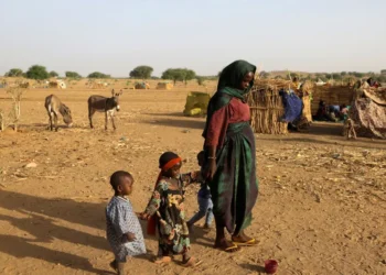 إجلاء أممي ونزوح واسع من كادوقلي مع تصاعد المخاوف الأمنية في جنوب كردفان