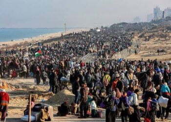 هآرتس: كشف شبكة تهجير الفلسطينيين من غزة لدول ثالثة