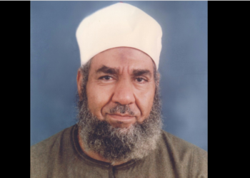 إسماعيل صادق العدوي