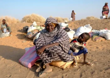 الأمم المتحدة: انتهاكات الدعم السريع في الفاشر ترقى إلى جرائم حرب