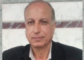 عزت سلامة.. كاتب صحفي
