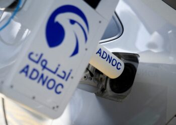 مصر تدين استهداف سفينتين إماراتيتين أثناء عبورهما مضيق هرمز