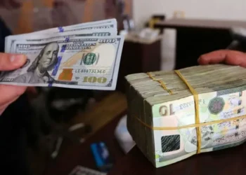 استقرار الدولار اليوم الاثنين 24 أغسطس 2026 أمام الجنيه.. العملة الأمريكية دون 51 جنيهًا