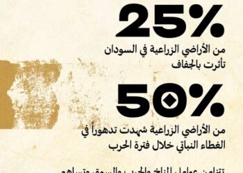 السودان على حافة الانهيار الغذائي.. الزراعة بين مطرٍ غائب وحربٍ لا تتوقف