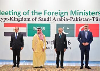 وزراء خارجية باكستان والسعودية وتركيا ومصر