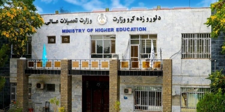 جامعة قندهار