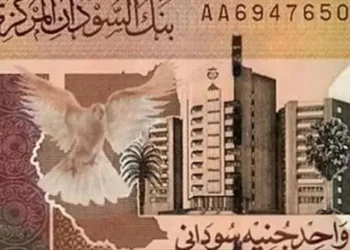 الدولار عند 4300 جنيه.. هدوء حذر يسيطر على السوق السودانية قبل عيد الأضحى