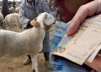 سوق الاضاحى بدولة المغرب- صورة ارشيفية