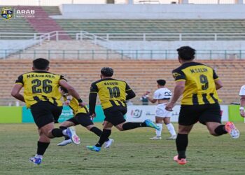 المقاولون العرب يهزم الجونة بهدف شكري نجيب في الدوري المصري
