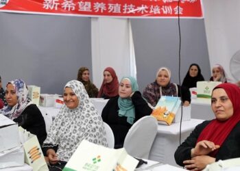 مشروع الامل الجديد بشراكة مصرية صينية بالجيزة