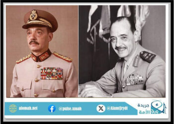 المشير الجمسي