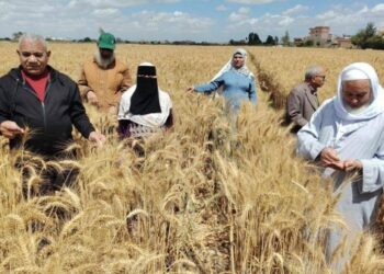 تقرير أممي يحذر: شمال أفريقيا على أعتاب جفاف تاريخي يهدد الأمن الغذائي ويغذي موجات الهجرة
