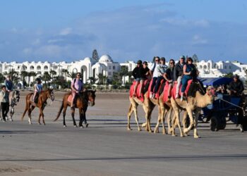 3.35 مليارات دينار إيرادات السياحة التونسية في 6 أشهر.. نمو 4.4% ودعم لاحتياطي النقد الأجنبي