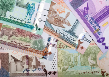 هل ينجح سحب عملات من السوق السودانى فى مواجهة عملة الدعم السريع؟