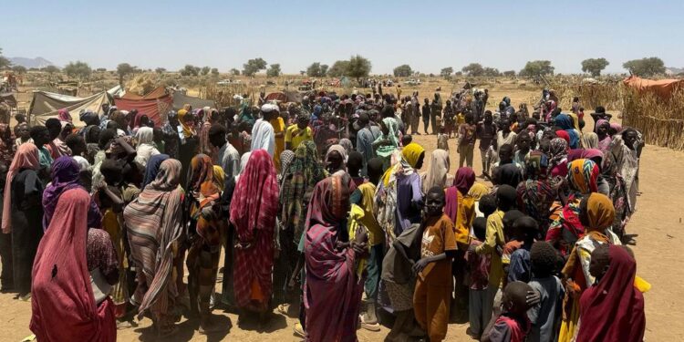 معارك شمال كردفان تشتعل.. الجيش السوداني و«الدعم السريع» يتبادلان إعلان السيطرة على مدن استراتيجية