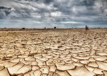تأخر الأمطار يهدد الموسم الزراعي في السودان.. و19.5 مليون شخص يواجهون انعدامًا حادًا للأمن الغذائي