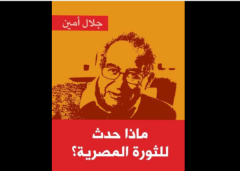 ماذا حدث للثورة المصرية
