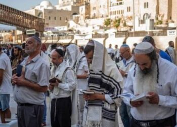منظمات المعبد المزعوم