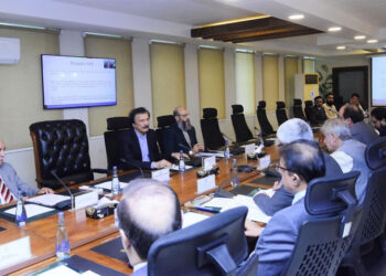 باكستان تقر تمويلاً وضمانات لمشروعات حكومية