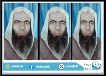 صفوت الشوادفي